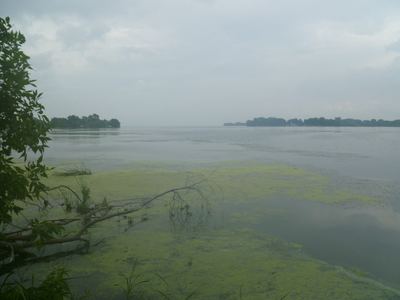 P1000440