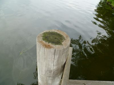 P1000443